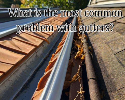 Dirty gutter needs urgent cleaning.