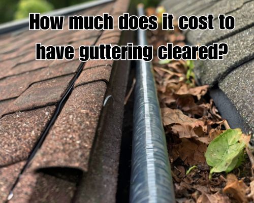 Gutter full of leaves needing cleaning.